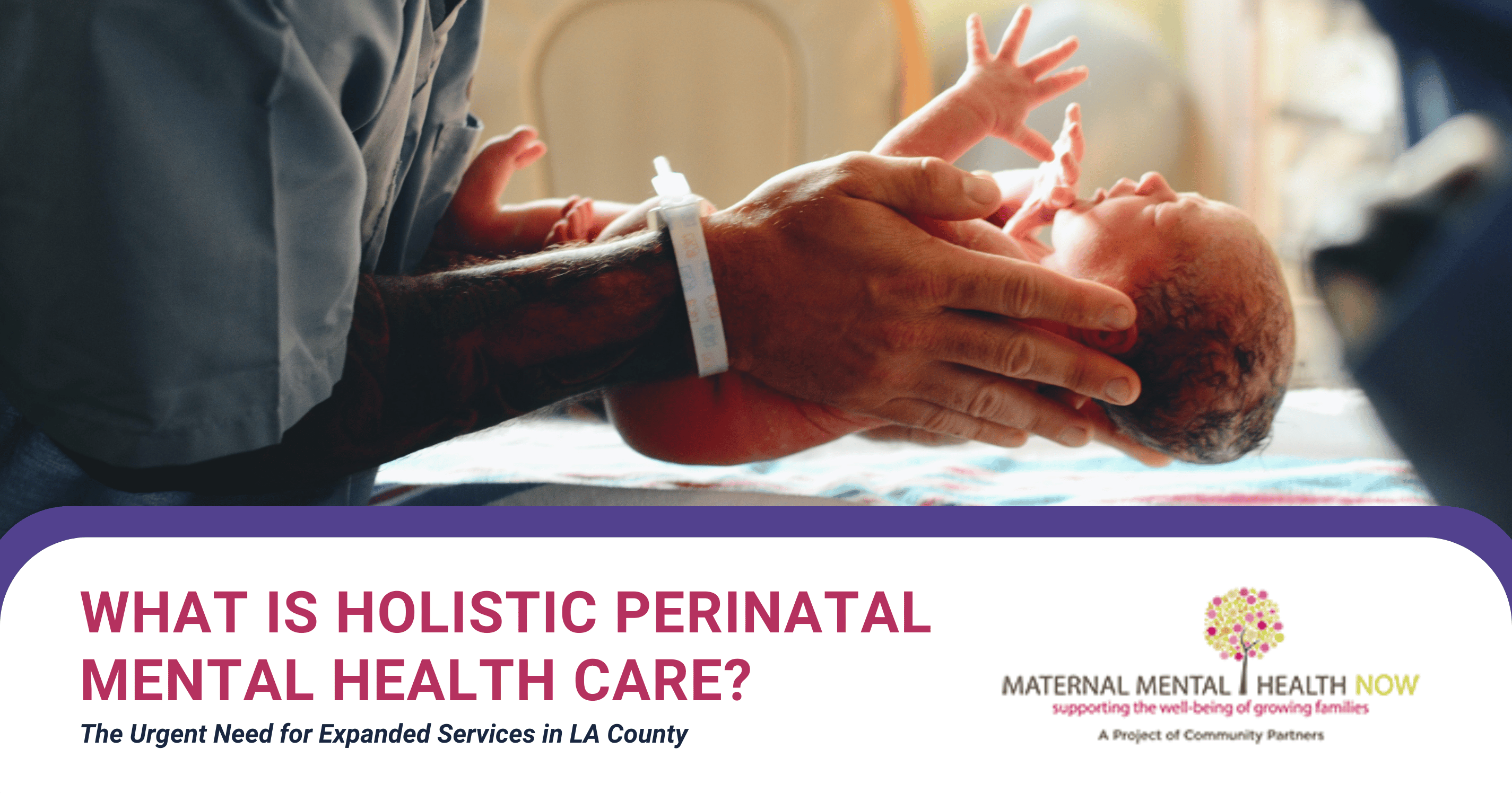 For When What is Holistic Perinatal Mental Health Care? The Urgent Need for ...